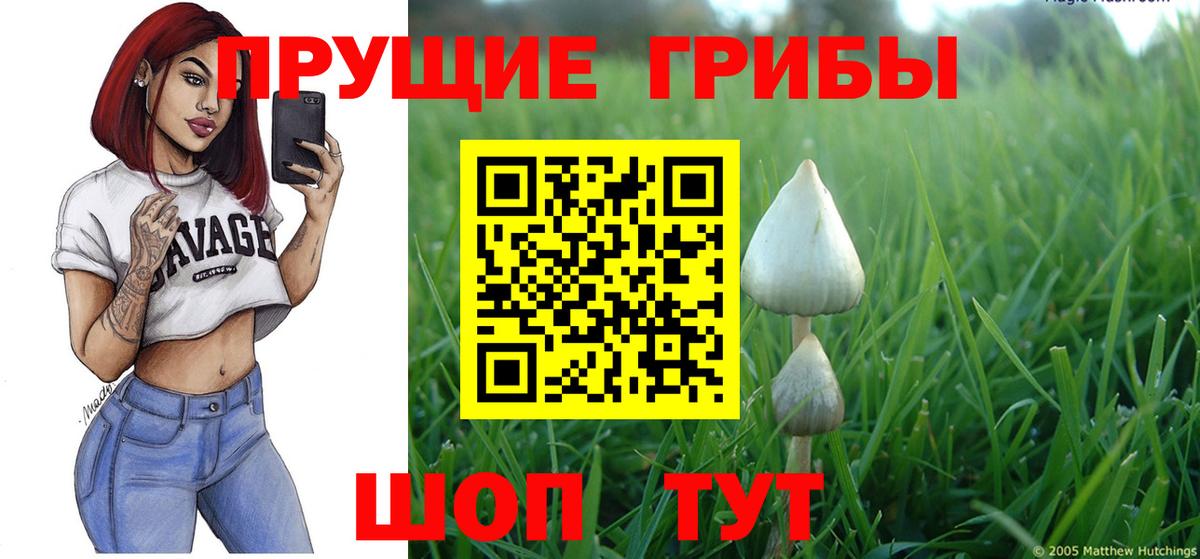 Галлюциногенные грибы прущие грибы Дзержинский